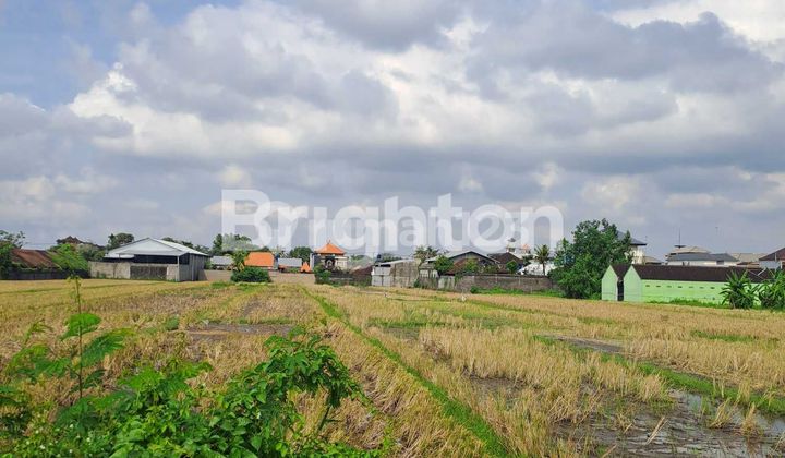 Di Jual Tanah Kurah Dan Strategis Di Mengwi Badung Bali