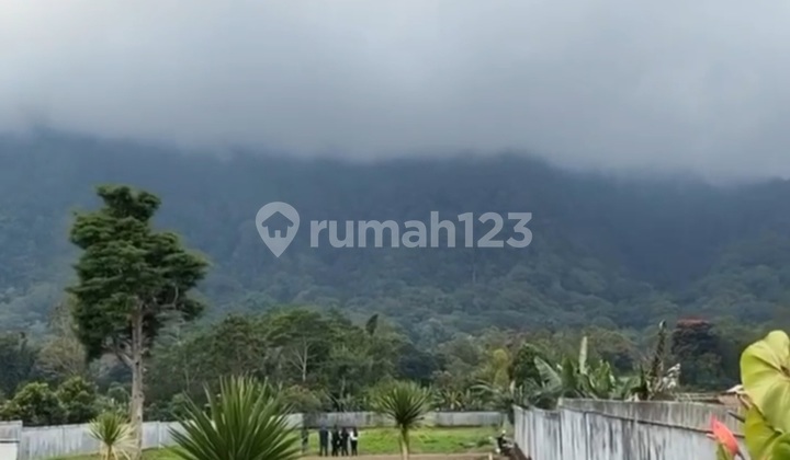 Strategic Land for Sale - Bedugul Strategic Land for Sale - Bedugul