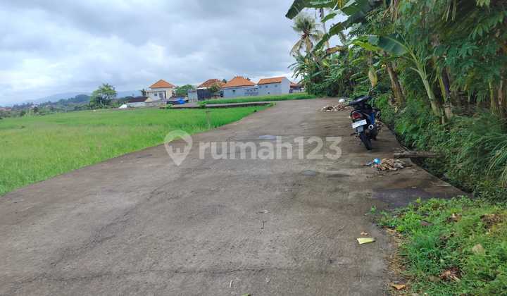 Dijual Kelating 175/are