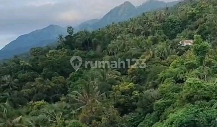 Land. IDR 39 million/are, Disembiran, accessible to Kintamani.