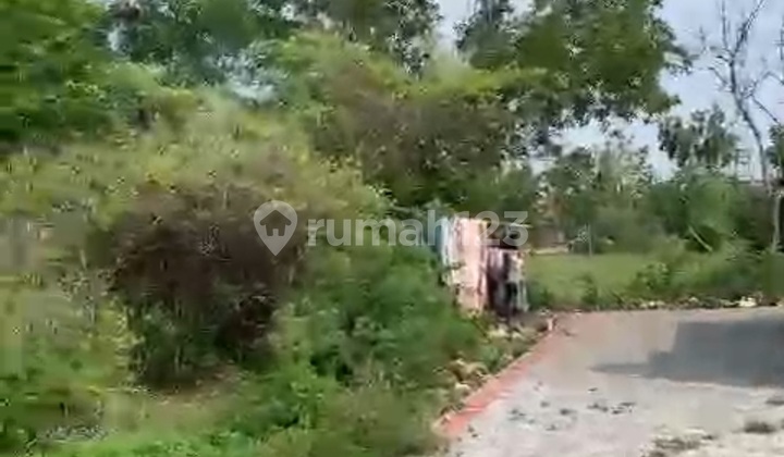 Dijual Tanah - Hook Position, Kutuh Jimbaran