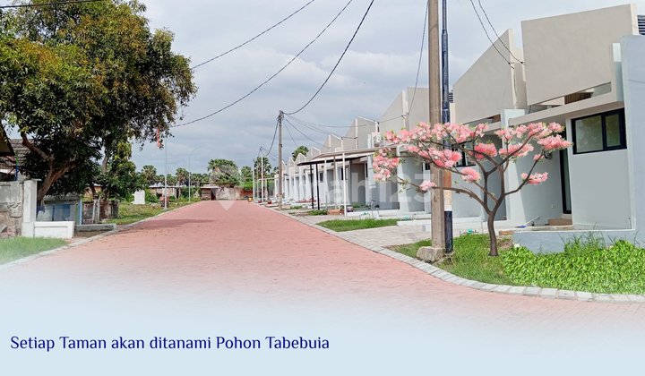 Jual Rumah 1 Lantai Swp Residence Ready Siap Huni Nol Jalan Propinsi