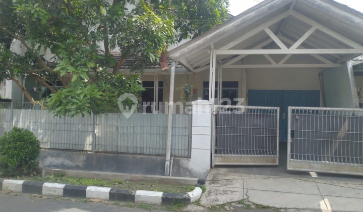 For Sale 1-Story House 4 Bedrooms Large Wide Yard 12 2