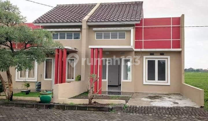 Cukup Utj 1 Juta Bidapat Dapat Rumah 1 Lantai Harga Promomulai 400 Jjutaanpalm Vile Residence 2