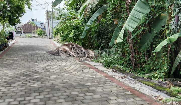 Tanah Murah 1,5 Are di Dalung