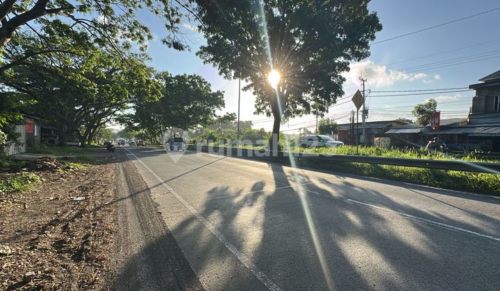 Land Area of 59 Ares, Container Access Main Road in Gianyar
