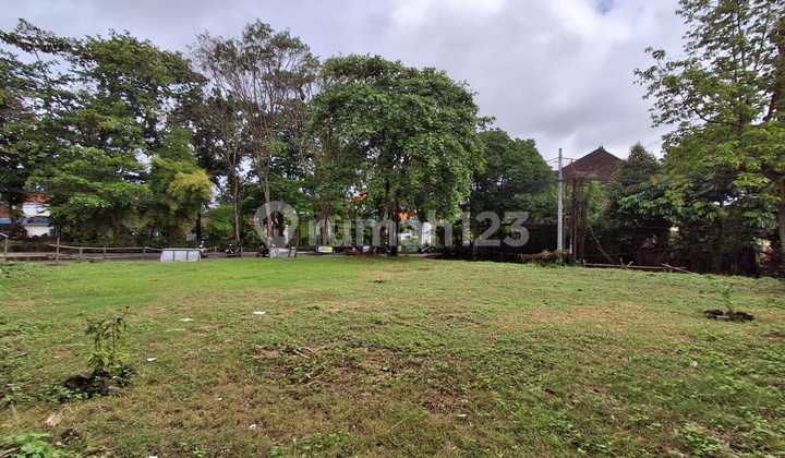 Jarang Ada Tanah Posisi Hook Luas 5.8 Are di Kawasan Elit Renon.