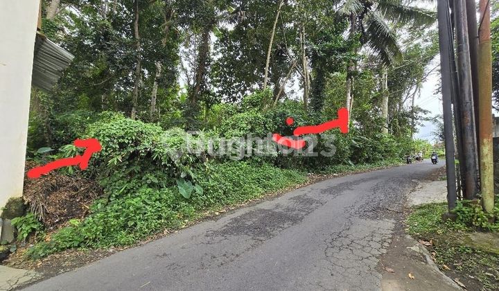 STRATEGIC LAND BY THE ROAD IN UBUD BALI STRATEGIC LAND BY THE ROAD IN UBUD BALI