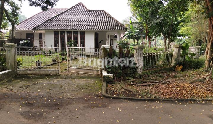 RUMAH TINGGAL 1