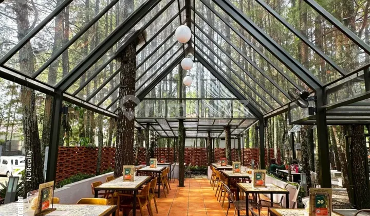 Hidden Gem Satu -satunya Hotel Ditengah Hutan Pinus Di Jantung Kota Bandung 1