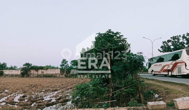 Dijual Tanah Sawah Di Pinggir Jalan Raya Jl Baru / Lingkar Tanjung Pura Karawang