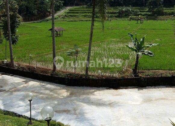 Land for Sale in Subang Area