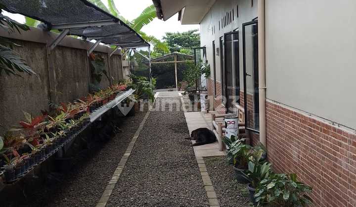 Rumah 1 Lantai Siap Huni dengan Hunian Nyaman dan Asri di Bogor Barat 2