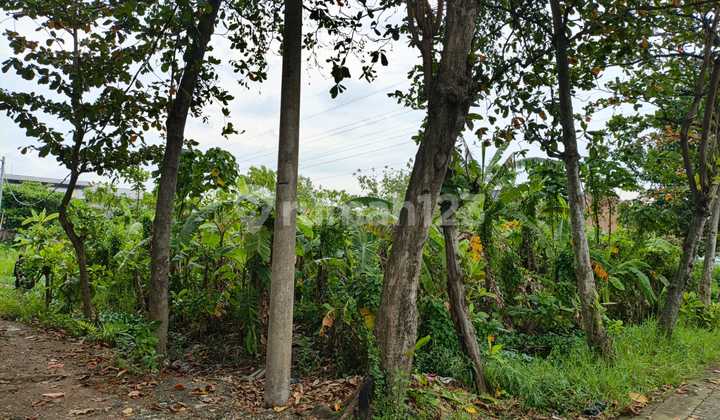 Ready-to-Build Land in East Semarang Area - 11216 2