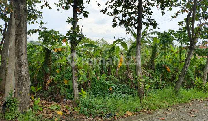 Disewakan Tanah Daerah Semarang Timur - 11219