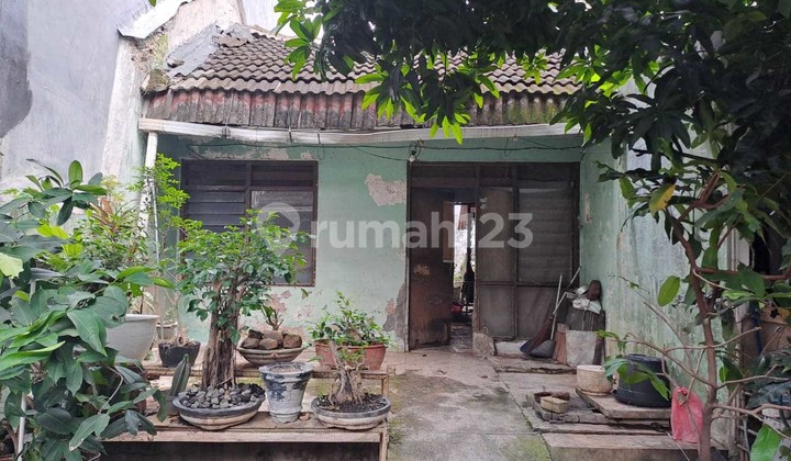 Rumah lama daerah Sambiroto.Tembalang - 10996 1