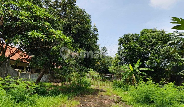 Tanah Daerah Gayamsari Semarang Timur - 11165 2