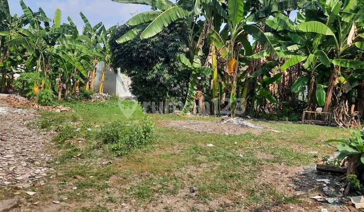  Tanah Siap Bangun daerah Gayamsari – 10738 1
