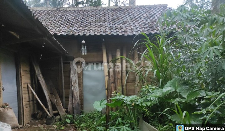 Tanah Murah di Daerah Purwodadi, Pasuruan