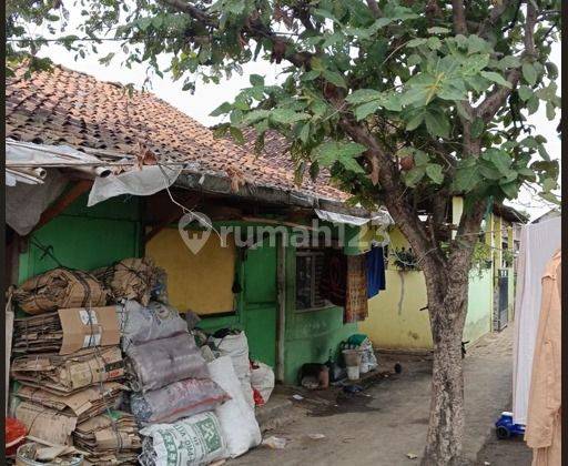 Rumah Murah di Daerah Rajeg, Tangerang 2