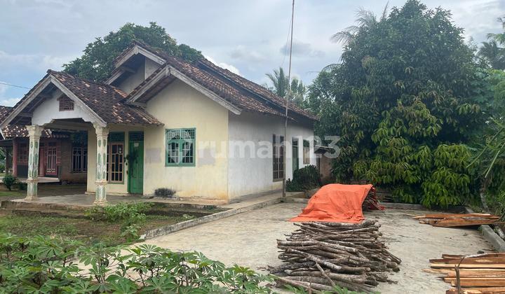 Rumah Murah di Daerah Gunung Sugih, Lampung Tengah 2
