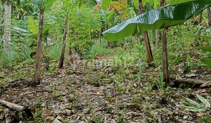 Tanah Murah di Daerah Teluk Betung Selatan, Bandar Lampung