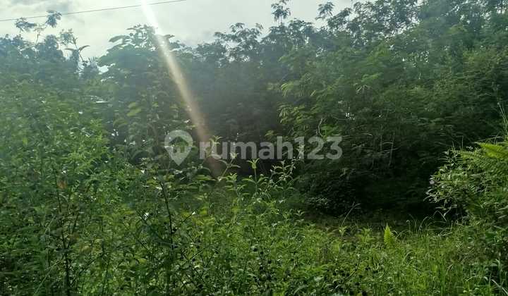 Tanah Murah di Daerah Beringin, Deli Serdang