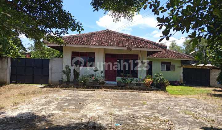 Rumah Murah di Daerah Purbolinggo, Lampung Timur