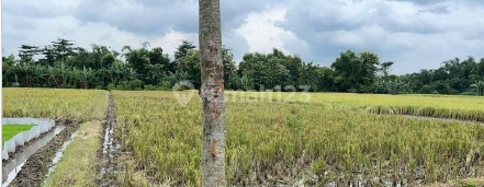 Tanah Murah di Daerah Rejoso, Nganjuk