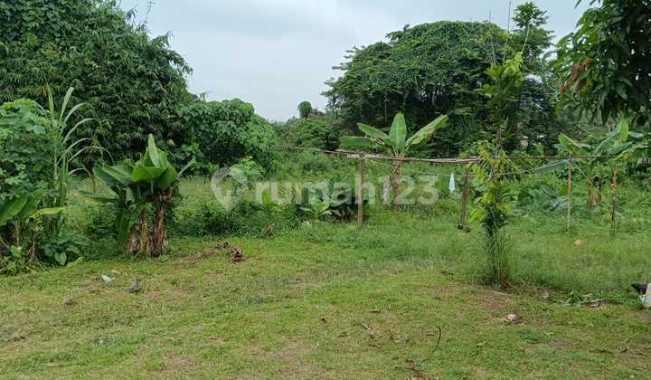 Tanah Murah di Daerah Talang Kelapa, Banyuasin