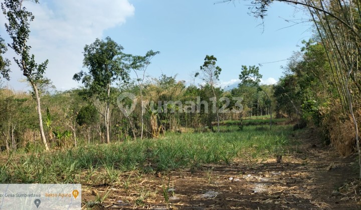 Tanah Murah di Daerah Maron, Probolinggo