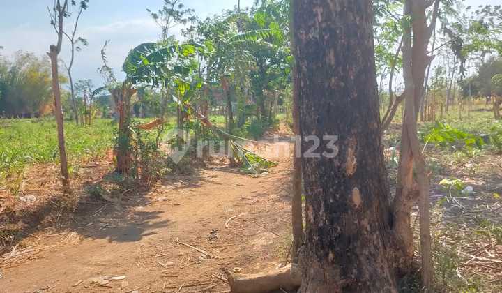 Tanah Murah di Daerah Bantaran, Probolinggo