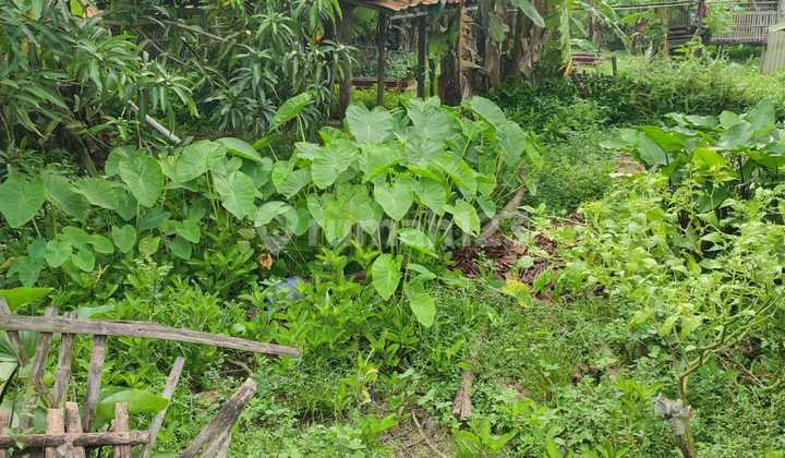 Tanah Murah di Daerah Tambun Selatan, Bekasi