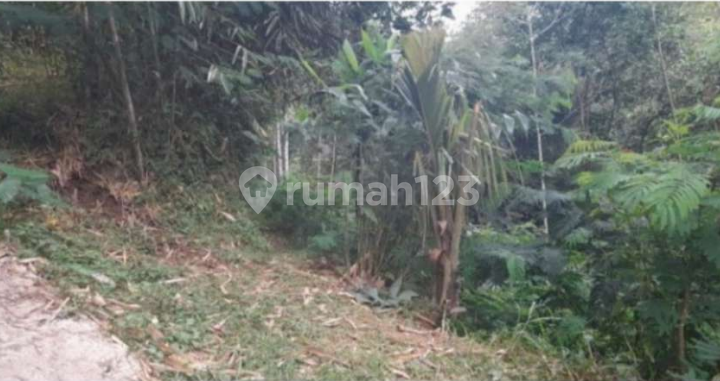 Cheap Land in Pakis Area, Magelang Cheap Land in Pakis Area, Magelang