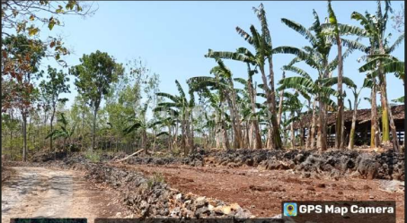 Tanah Murah di Daerah Panggang, Gunung Kidul Tanah Murah di Daerah Panggang, Gunung Kidul