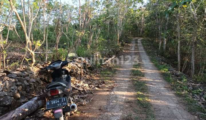 Tanah Murah di Daerah Purwosari, Gunung Kidul