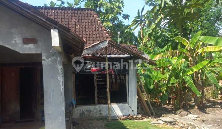 Rumah Murah di Daerah Tanggungharjo, Grobogan