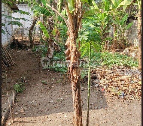 Tanah Murah di Daerah Tigaraksa, Tangerang