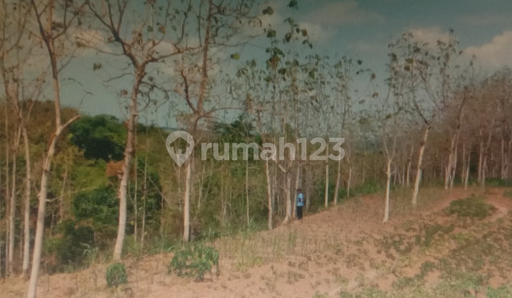 Tanah Murah di Daerah Parang, Magetan