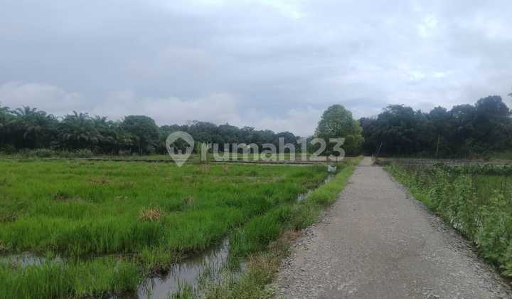 Tanah Murah di Daerah Tenggarong, Kutai Kartanegara