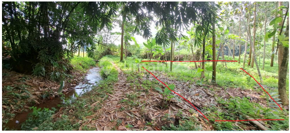 Tanah Murah di Daerah Boja, Kendal