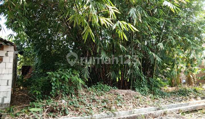 Cheap Land in Tanggulangin Area, Sidoarjo Cheap Land in Tanggulangin Area, Sidoarjo