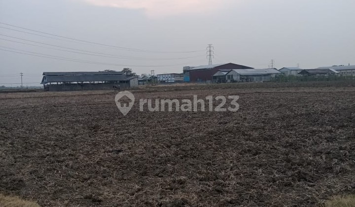 Tanah Murah di Daerah Jakenan, Pati