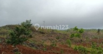 Tanah Murah di Daerah Purwosari, Gunung Kidul