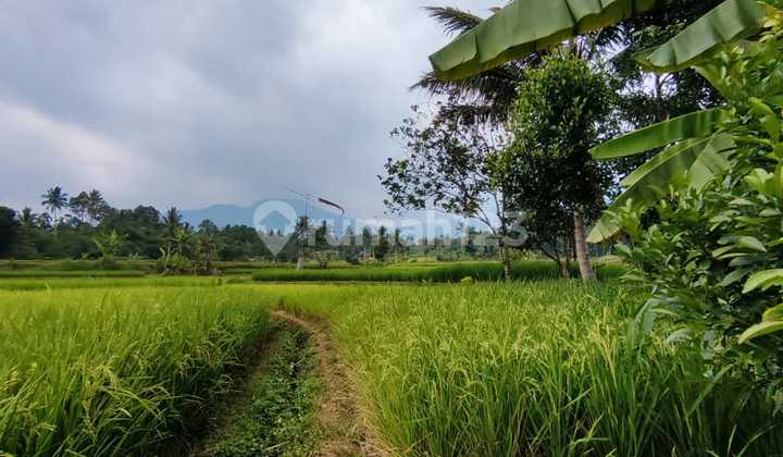 Affordable Land in Cidahu Area, Sukabumi