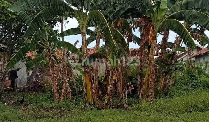 Tanah Murah di Daerah Jayakerta, Karawang