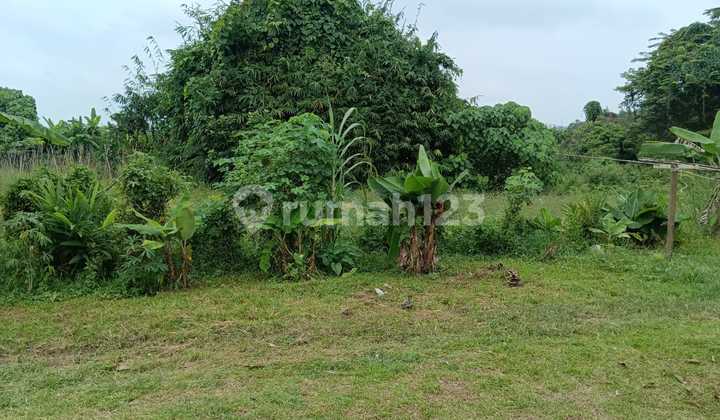 Tanah Murah di Daerah Talang Kelapa, Banyuasin