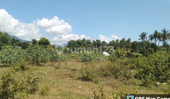 Tanah Murah di Daerah Gerokgak, Buleleng