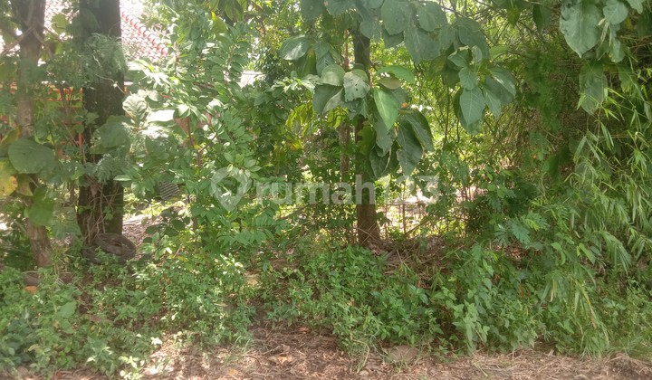 Tanah Murah di Daerah Karas, Magetan