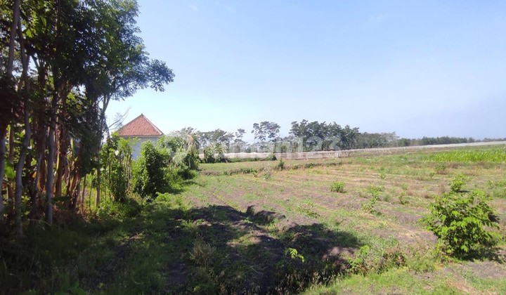 Tanah Murah di Daerah Dringu, Probolinggo